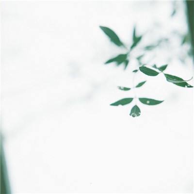 无尽战火游戏(暂未上线)v1.0.0 安卓版